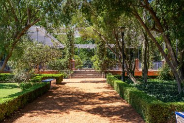 Parkta, yanında ağaçlar ve özel bölmeleri olan turuncu tuğla bir patika var. Sağlık, yol, sükunet kavramı.