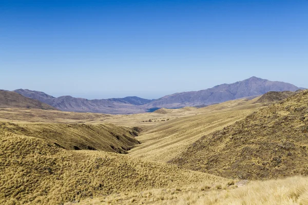 Puno grasslands from Infiernillo — Stock Photo, Image
