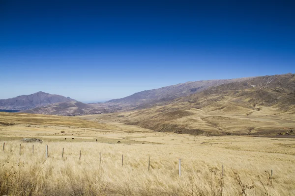 Puno graslanden van Infiernillo — Stockfoto