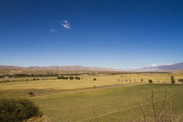 Campos agrícolas en los valles andinos — Foto de Stock