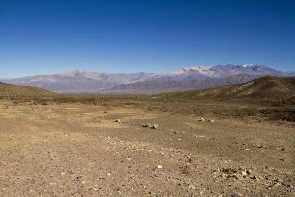 Dry River in Salta — Stock Photo, Image