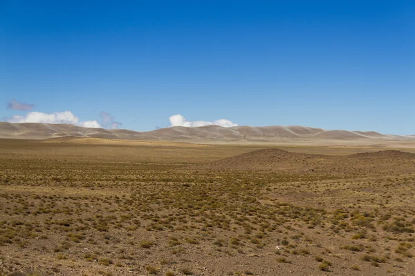 Grass in plateau highland — Stock Photo, Image