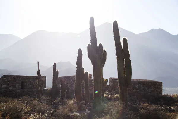 Aldeia de índios antigos na Argentina — Fotografia de Stock