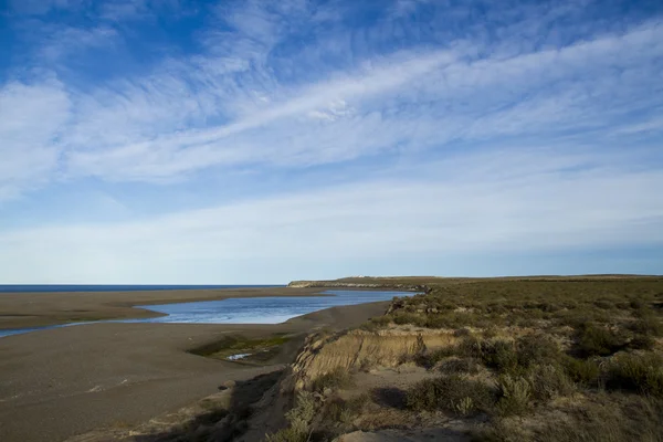 Caleta Valdes - Patagonya — Stok fotoğraf