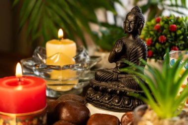 Buda heykeli, mumlar, bitkiler ve tesadüflerle meditasyon sunağı