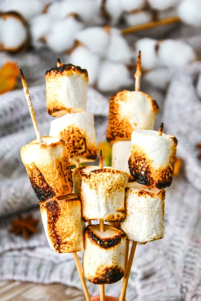 Marshmallow skewers Marshmallows On A Stick Roasting close up. White camping marshmallow. Sweater autumn background. Camping Fall Fun Concept. Autumn picnic