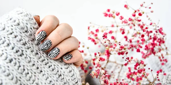 Hand Sweater Pink Flowers Zebra Animal Printed Nails Female Manicure — Stock Photo, Image