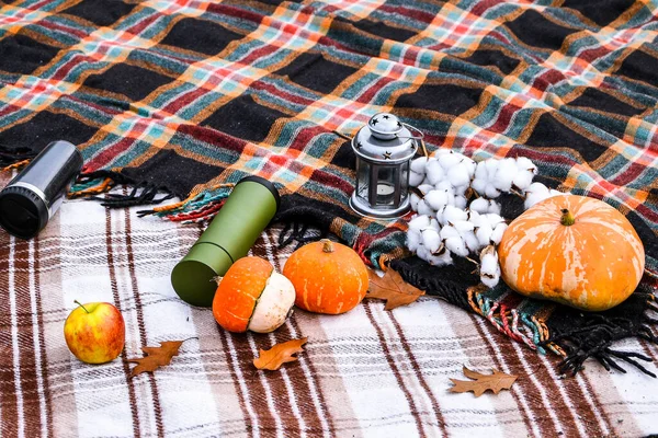 Autumn picnic with thermos and pumpkins, cotton branch, croissants. Concept of warm sunny autumn day, picnic outside in the park. Wooden basket, ripe seasonal vegetables and fruits, colorful plaid. Cozy atmosphere, family time outdoor