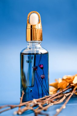 Cam şişedeki yaşlanma önleyici serum mavi arka planda damlatıcı ve kuru çiçekler. Kolajen ve peptidli yüz sıvısı serumu. Güzel sağlıklı cilt için cilt bakımı esansı. Damlatan cam şişe maketi..