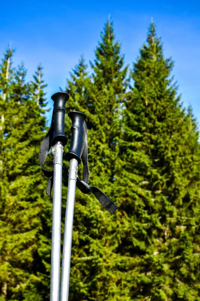 Trekking poles at top of mountain with beautiful view of autumn mountains. Natural background. Hiking. Travel goal concept