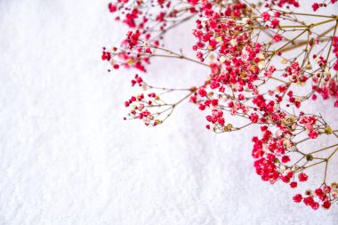 Temiz ve taze pamuk havlu, çiçek açan dallı spa tedavisi, fotokopi alanı, spa dekorasyonu. Sağlık spa salonu geçmişi. Pastel hassas yumuşak arkaplan