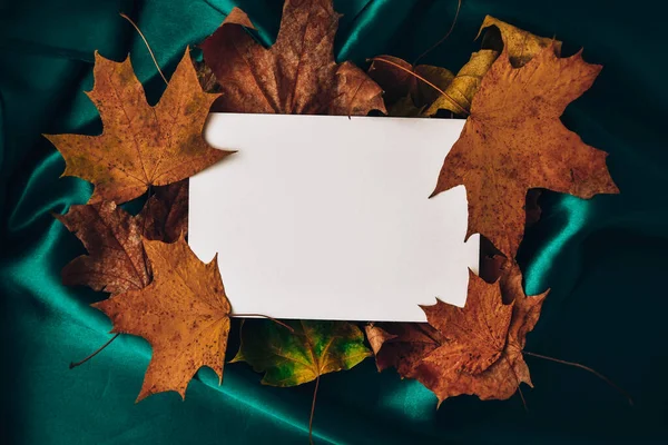 Mock Greetings Typing Background Green Color Silk Cloth Autumn Leaves — Stock Photo, Image