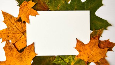 Tebrik mesajlarını yaz Sonbahar yaprakları, beyaz kağıt ve sonbahar yaprakları ile arkaplanı yaz Tebrik kartları için düz bir düzenleme Season resmi kopyala