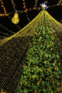 Kiev Ukrayna şehir merkezindeki Noel ağacı. Kış gecesi. Şehir merkezinde büyük bir Noel ağacı. Kış tatili sokak dekorasyonları.
