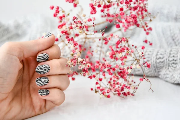 Hand Hand Pullover Und Rosa Blumen Mit Zebrastiernägeln Weibliche Maniküre — Stockfoto