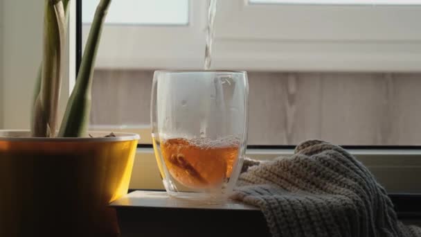 Průhledné sklo zdobené čerstvým citronem. Horký čaj nalévá do šálku. Okenní parapet s rostlinami a hromádkou knih. Ranní snídaně. — Stock video