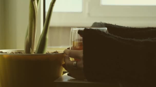 खिड़की के पास पारदर्शी ग्लास कप चाय पकड़ने वाली महिला हाथ। सुबह की दिनचर्या। गर्म चाय नाश्ता पीना . — स्टॉक वीडियो