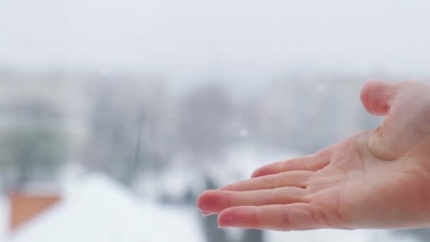 Langzame beweging van sneeuw die in de vrouwelijke hand valt. Met sneeuw bedekte stad en vliegende sneeuwvlokken in slow motion. Gedeocaliseerd. Selectieve focus. wazig winter achtergrond koud weer — Stockvideo