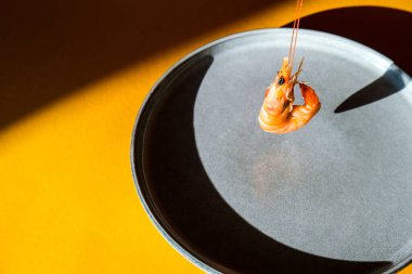 Gri bir plaka ve sarı arka planda uçan kırmızı karides. Moda renkleri. Minimalist konsept deniz ürünleri. Derin gölgeler. Vejetaryen Omega