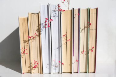 Bebek nefesli eski kitaplar yığını. Samimi bir kitap. Narin pembe çingene çiçekleri. Yavaş yaşam konsepti. Doğayla birlik. Eğitim edebiyatı. Seçici odak.