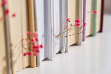 Bebek nefesli eski kitaplar yığını. Samimi bir kitap. Narin pembe çingene çiçekleri. Yavaş yaşam konsepti. Doğayla birlik. Eğitim edebiyatı. Seçici odak.