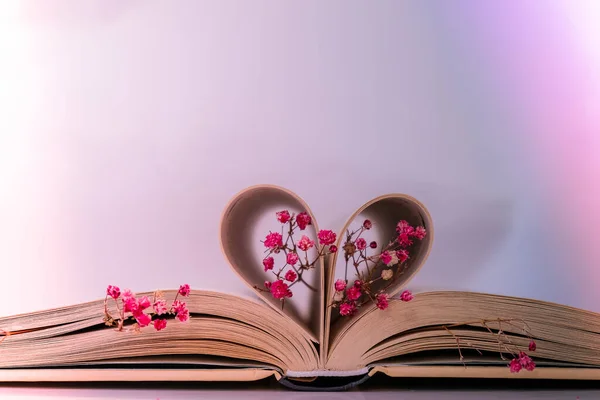 Book pages folded into a heart and pink flower. Soft focus, deliberate slight blurring. Delicate pink gypsophila flowers. Slow living concept. Unity with nature. Love. Education literature