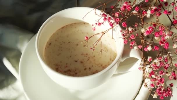 Vit kopp mjölk och choklad. Morgonestetiska vibbar. Frukost. Pink zigenare blommor — Stockvideo