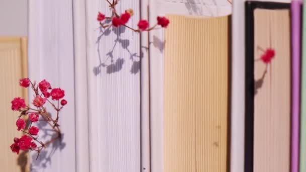 Une pile de vieux livres avec des fleurs de souffle de bébés. Lecture confortable. Fleurs de gypsophila rose délicates. Concept de vie lente. Unité avec la nature. Concentration sélective. — Video
