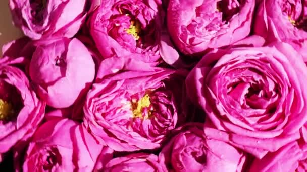 Langzame beweging van roze rozen pioenen draaien. Prachtige lentebloemen. Bloemenachtergrond. Sluiten. — Stockvideo