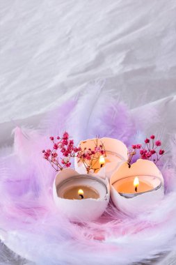 DIY. Kendiniz yapın. Beyaz yumurta kabuğunun içinde mum olan bileşimi. Mum ışığı. Kuş tüylü parlak paskalya süslemeleri kuru çiçekler. Pastel renkler. Paskalya tebrik kartı. Boşluğu kopyala