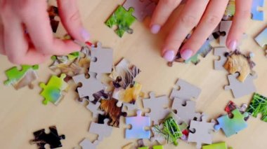 Aile eğlence zamanı. Kadın eli yapboz yapıyor. Garip şekilli iç içe geçmiş ve mozaiklenmiş yapboz parçaları. Tamamen iç içe geçmiş bulmaca.