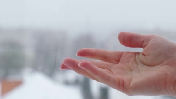 Mouvement lent de la neige tombant dans la main féminine. Ville enneigée et flocons de neige volant au ralenti. Déconcentré. Concentration sélective. Fond d'hiver trouble temps froid — Video