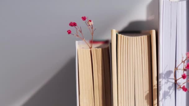 Stak af gamle bøger med babys ånde blomster. Hyggelig læsning. Lækre lyserøde sigøjnerblomster. Langsomt levende koncept. Enhed med naturen. Selektivt fokus. – Stock-video