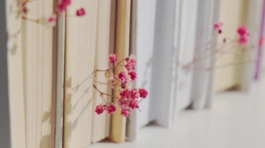 Bebek nefesli eski kitaplar yığını. Samimi bir kitap. Narin pembe çingene çiçekleri. Yavaş yaşam konsepti. Doğayla birlik. Seçici odak.