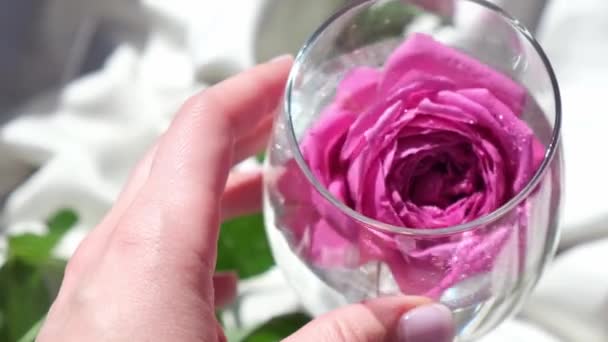 Wijnglas gevuld met roze bloemblaadje op witte zijde stof. Minimaal modern stilleven. Vakantie concept Valentines of vrouwen dag achtergrond ontwerp — Stockvideo