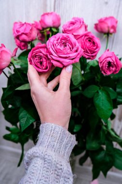 Tatil konsepti, doğum günü için bir buket gül sevgililer günü anneler günü, sabahları bir buket çiçek. Seçici odaklanma. Kadın eli olan şakayıklar. Hassas