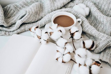 Pamuk bitkisi tarçın çubuklu kahve ve beyaz arka planda anason yıldızı. Etrafta süveter var. Kış sabahı rutini. Kahve molası. Uzayı kopyala Kahvaltı..