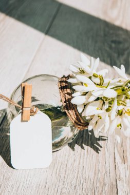 Su dolu cam bir vazoda bir buket kardelen. Uzayı metin için kopyala. Etiketle hazırlan. Erken bahar çiçekleri. Tatil tebrik kartı.