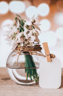 Su dolu cam bir vazoda bir buket kardelen. Uzayı metin için kopyala. Etiketle hazırlan. Erken bahar çiçekleri. Tatil tebrik kartı.