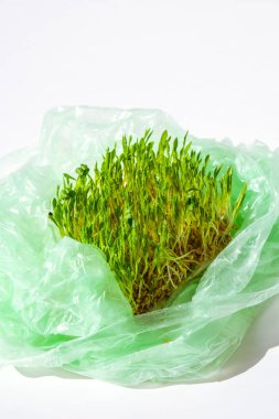 Plastik torbada genç yeşil bitkiler. Ekoloji ve Çevre Konsepti. Dünya günü konsepti. Gezegenin küresel kirliliği. Seedling. Sürdürülebilir yaşam tarzı