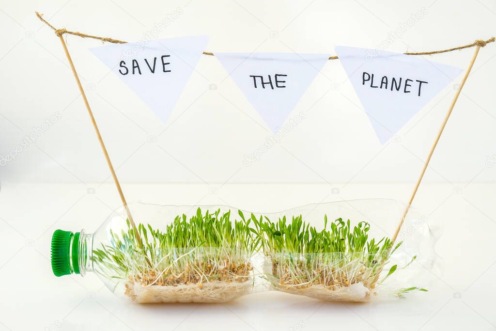SAVE THE PLANET Young green plants in plastic bottle. Ecology and Environmental conversation. Earth day concept. Global pollution of the planet. Seedling. Sustainable lifestyle. Reuse plastic garbage