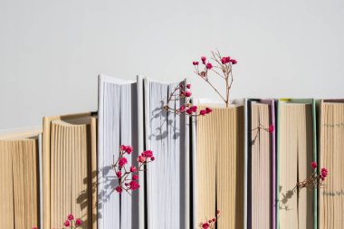 Bebek nefesli eski kitaplar yığını. Samimi bir kitap. Narin pembe çingene çiçekleri. Yavaş yaşam konsepti. Doğayla birlik. Eğitim edebiyatı. Seçici odak.