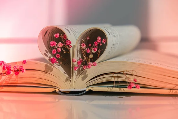 Kitap sayfaları kalp ve pembe çiçek şeklinde katlanmış. Hafif odaklanma, kasıtlı olarak hafif bulanıklaşma. Narin pembe çingene çiçekleri. Yavaş yaşam konsepti. Doğayla birlik. Sevgi. Eğitim edebiyatı