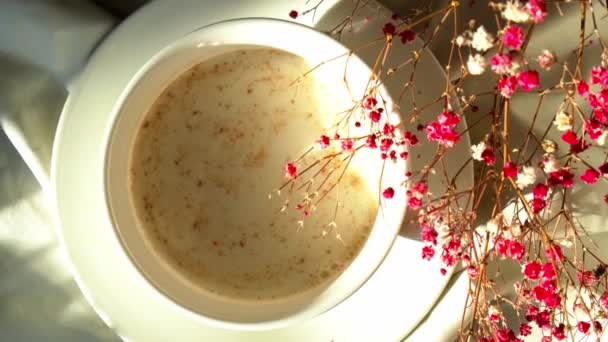 Tazza bianca di latte e cioccolato. Vibrazioni estetiche mattutine. La colazione. Fiori di gypsophila rosa — Video Stock