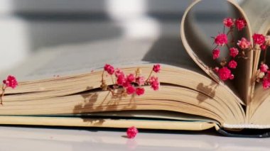 Kitap sayfaları kalp ve pembe çiçek şeklinde katlanmış. Hafif odaklanma, kasıtlı olarak hafif bulanıklaşma. Narin pembe çingene çiçekleri. Yavaş yaşam konsepti. Doğayla birlik. Aşk