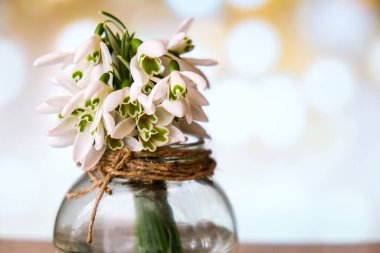 Su dolu cam bir vazoda bir buket kardelen. Uzayı metin için kopyala. Erken bahar çiçekleri.