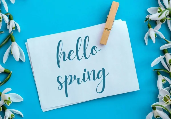 인사말 HELLO SPRING letletlettering with snowdrop flower. 이른 봄의 꽃들. 스프링 타임. 신선 한 부케 — 스톡 사진