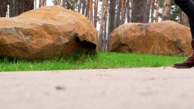 Tanınmayacak kadar kötü biri ormandaki çimlere plastik şişe fırlatıyor. Kavramsal ekolojik sorun, plastik geri dönüşümü, doğanın kirliliği.