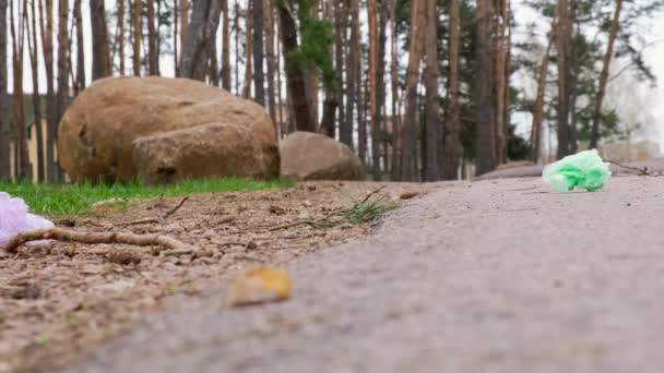 4k Mladý dobrovolník sbírá odpadky Plastové tašky v parku, les. Sbírejte plastové sáčky z trávníku. Ekologický problém, recyklace plastů, znečištění životního prostředí plasty. Péče o přírodu. — Stock video