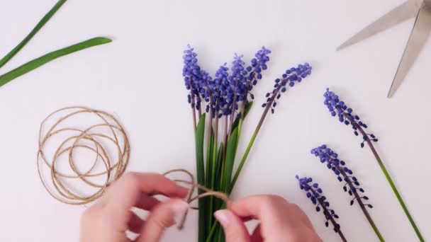 4k Mãos femininas coletam buquê de muscari azul como presente. Poda de flores. Florista em florista. Eco-estilo. Florista no espaço de trabalho — Vídeo de Stock